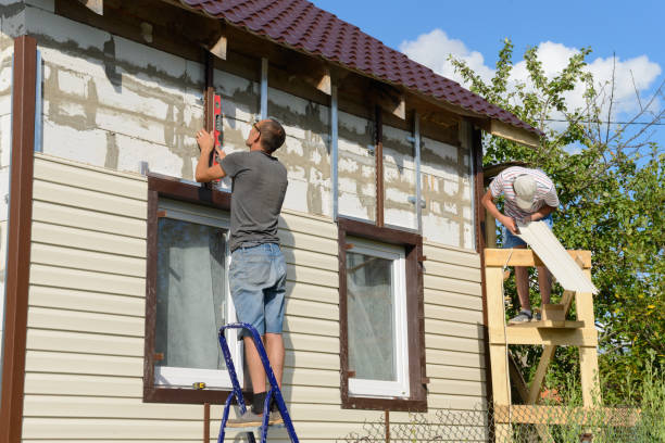 Best Custom Siding Design  in Ankeny, IA